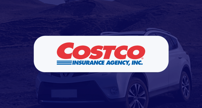 Costco Auto Insurance Review [2025]: Additional Discounts for Members ...